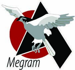 Megram Consutling Services Ltd.